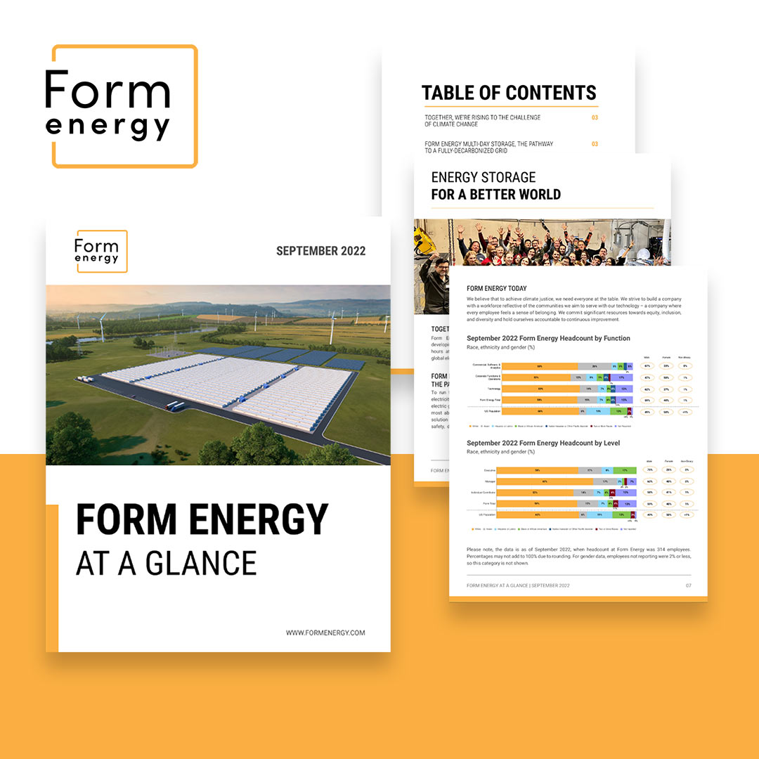Form-Energy-newsletter-graphic-design